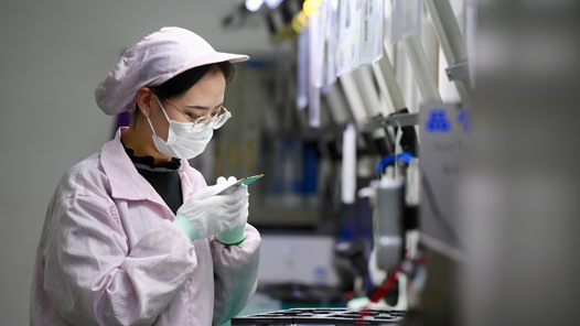 學(xué)習(xí)貫徹黨的二十屆四中全會(huì)精神｜促進(jìn)高質(zhì)量充分就業(yè)