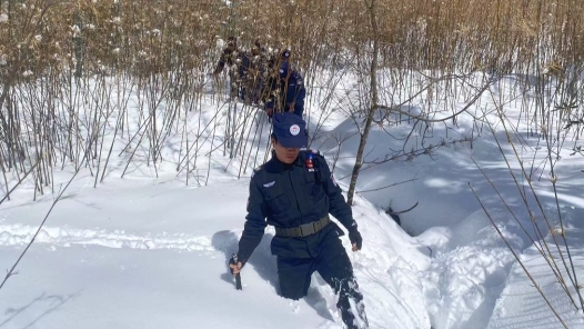 邊境聯(lián)防：萬家團(tuán)圓的守護(hù)者