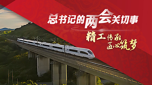 總書記的兩會關切事｜精工傳承 匠心筑夢