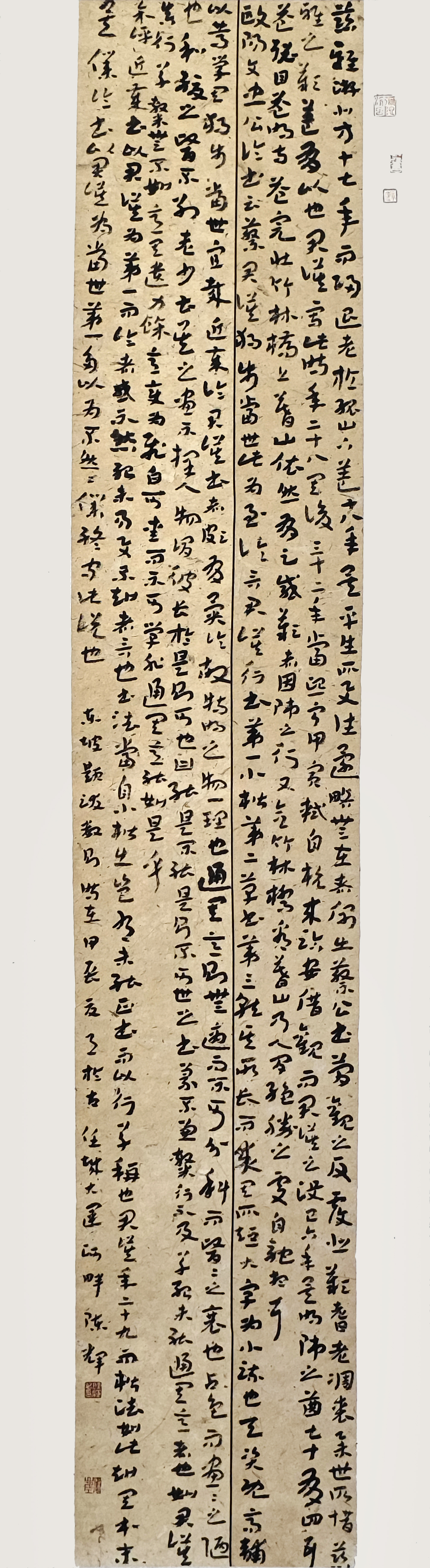 107-陳輝-華魯控股集團(tuán)有限公司-東坡題跋數(shù)則-草書-180×51cm外框尺寸235X57cm