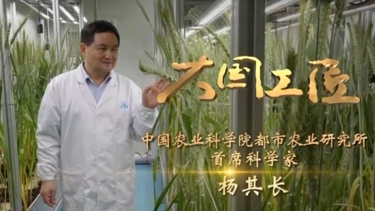 大國(guó)工匠丨“土”博士主導(dǎo)創(chuàng)建垂直植物工廠 讓蔬菜年產(chǎn)量翻百倍