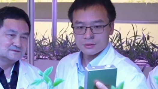 大國(guó)工匠有新知丨植物工廠有奇跡 30畝地產(chǎn)量只用三分地