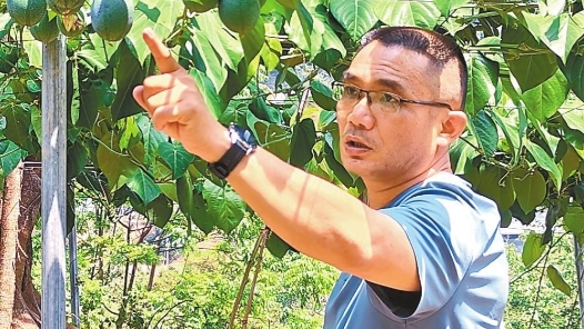 全國(guó)先進(jìn)工作者林松：植根熱土育“金果”