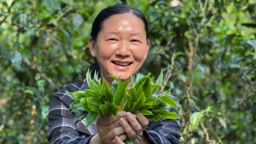 全國(guó)勞動(dòng)模范獲得者朱美宣：茶路深耕 以匠心賦能產(chǎn)業(yè)振興