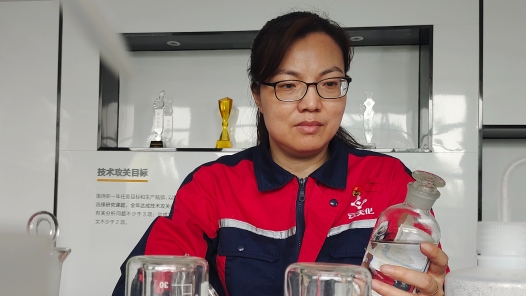 全國(guó)勞動(dòng)模范夏潔：“干一行、愛一行，專一行、精一行”