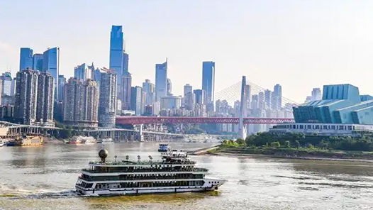 鍥而不舍落實中央八項規定精神｜重慶：“一表通”助力基層減負