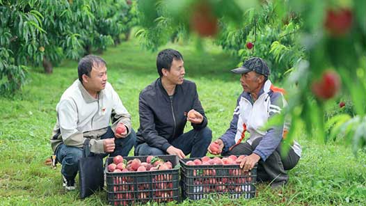 鍥而不舍落實中央八項規定精神｜云南曲靖：讓基層干部不用“圍著表格轉”