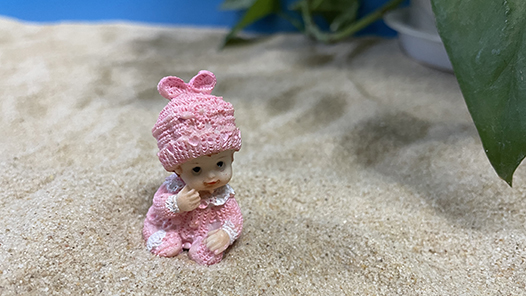 湖北省總工會暑期免費夏令營啟動