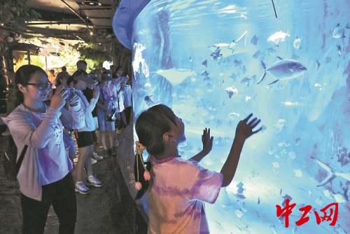 b59fb4c29422db0f528de24c6e60c5ff