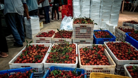 “既享受了工會福利，還為鄉村振興作了貢獻”