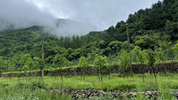 云南省總工會舉辦“工會共建勞模林”義務植樹活動