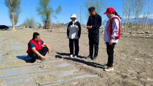 鍥而不舍落實中央八項規定精神｜從會議桌轉向田間地頭——新疆精河縣農技干部蹲點助農見聞