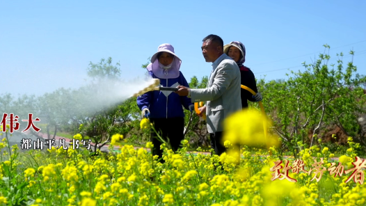 致敬勞動(dòng)者