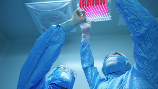 匠心筑夢：一粒糖丸的守護傳奇