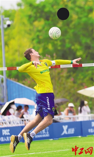 3095636_tpzz_1755099100539_b