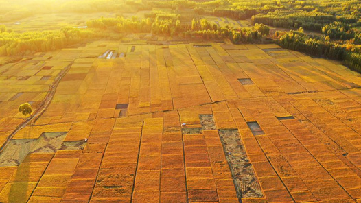 銘記歷史 緬懷先烈·今昔巨變丨隴東糧倉崛起現代新城