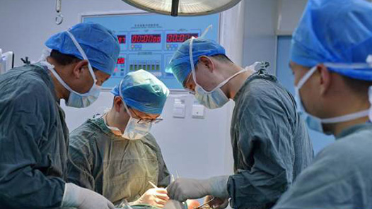 生命線上的守護者