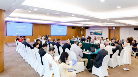 中外人士共話“宋慶齡與偉大抗戰(zhàn)”