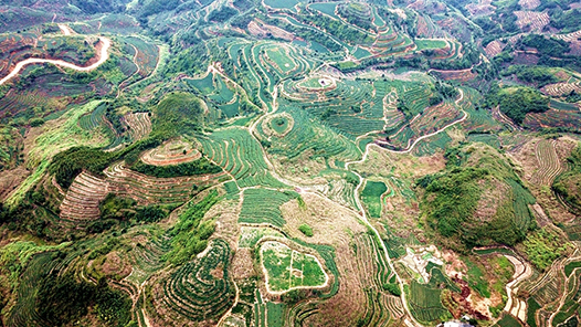 高質量完成“十四五”規劃｜我國脫貧攻堅成果得到鞏固和拓展