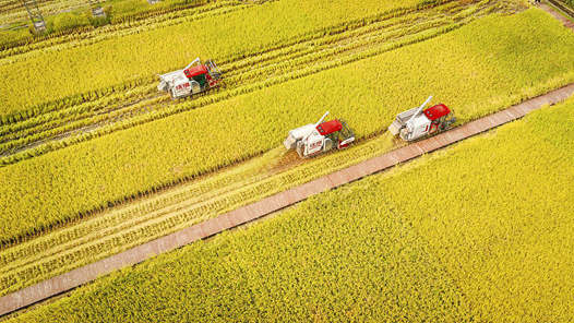 “十四五”時期我國糧食產量邁上新臺階