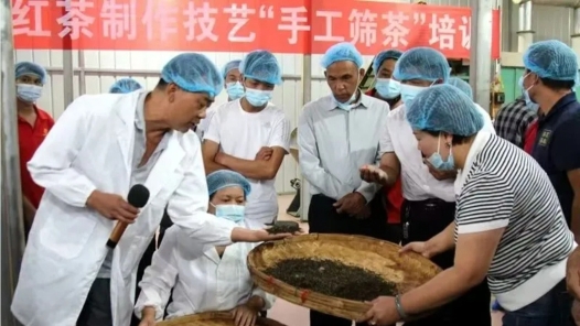 云南鳳慶縣以“盟”為媒賦能產改促發展