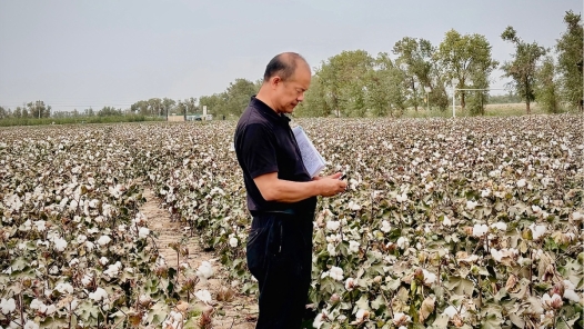 中國(guó)夢(mèng)·大國(guó)工匠篇丨練文明：“種”出來的勞模工匠