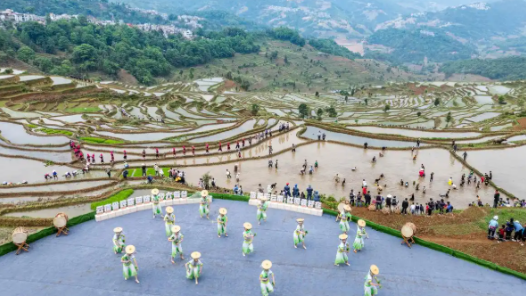 梯田邊的“新農(nóng)人”