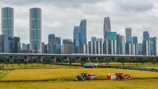 財政部：2025年安排高標準農田建設資金1766億元