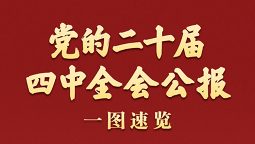 學(xué)習(xí)新語丨黨的二十屆四中全會(huì)公報(bào)一圖速覽