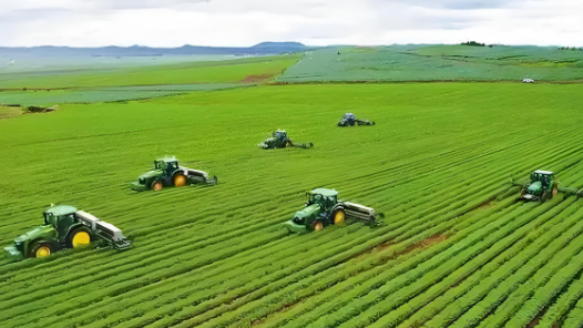 “十四五”，我們見證這些硬核突破｜從粒粒良種，到倉廩充盈