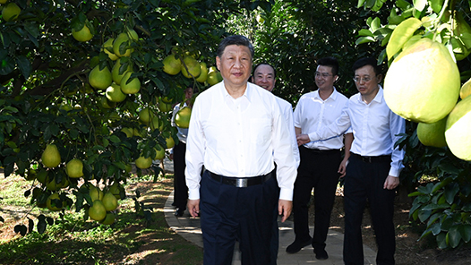 看圖學(xué)習(xí)·回眸2025｜“發(fā)展有不平衡的地方” 總書記一直惦念在心