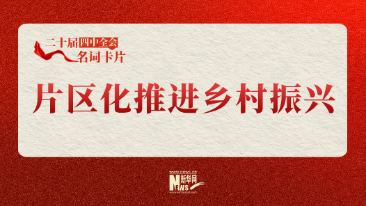 二十屆四中全會(huì)名詞卡片：片區(qū)化推進(jìn)鄉(xiāng)村振興
