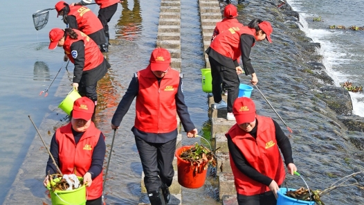 關(guān)鍵詞讀懂“十五五”｜發(fā)展志愿者服務(wù) “銀發(fā)力量”拓展公益新內(nèi)涵