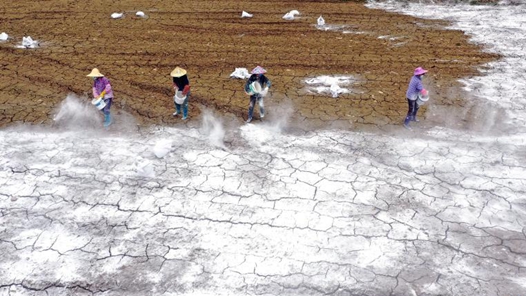 農業農村部：“十四五”期間新建改造提升高標準農田4.6億畝