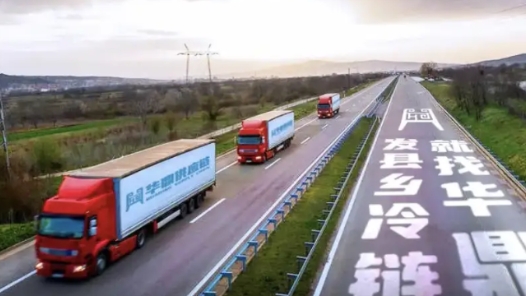 “十四五”時期我國冷鏈基礎設施實現跨越發展