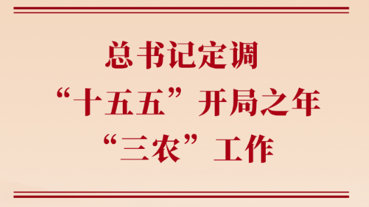 第一觀察丨總書記定調(diào)“十五五”開局之年“三農(nóng)”工作