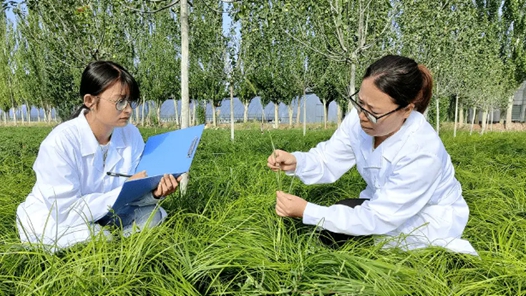 “十四五”我國收集保存林草種質資源14.74萬份