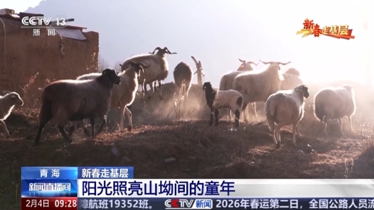 新春走基層丨“每周赴約”的公益早教 照亮山坳孩子的童年