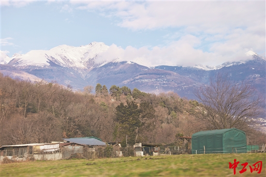 3326590_tpzz_1770564210659_b