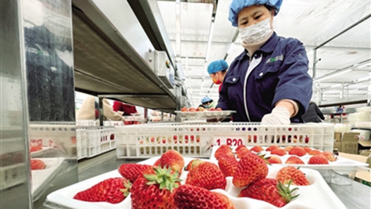 他們成了就業(yè)市場的“香餑餑”