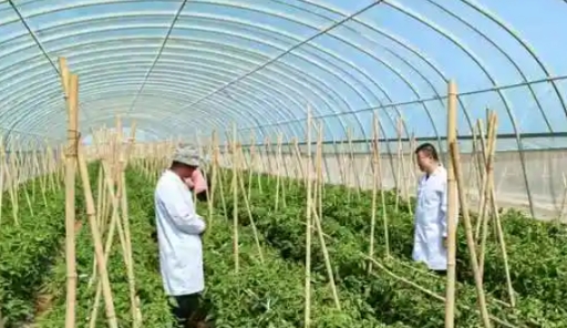 370個科技小院通過質量監測