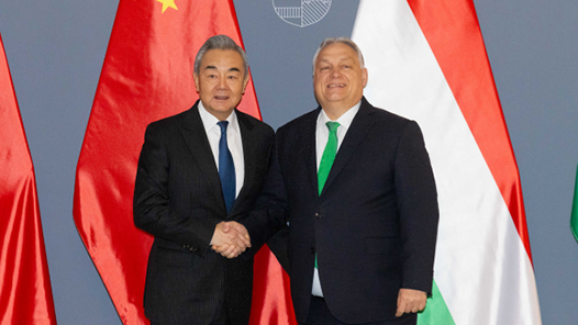 匈牙利總理歐爾班會見王毅
