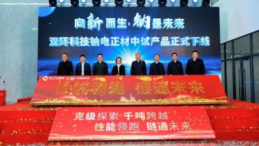 湖北首條千噸級鈉電正極材料中試線投產