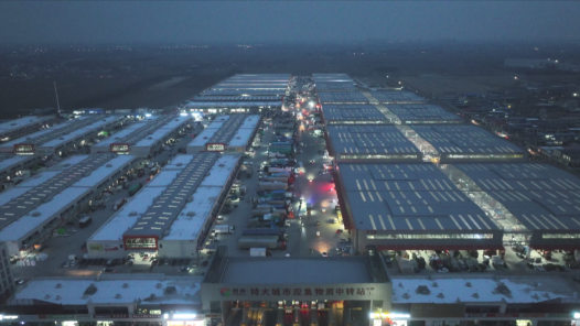 新春走基層·記者體驗360行｜“95后”新農人！大市場里的新買手