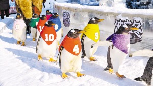 哈爾濱市：景區(qū)爭相放大招 解鎖新春新玩法