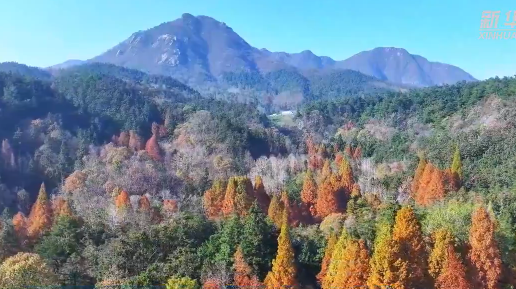 新春走基層｜鳥鳴聲映照綠水青山