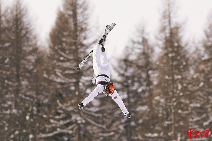 3344211_tpzz_1771857134280_b