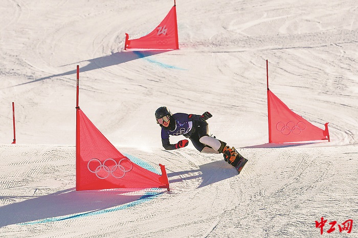 3344213_tpzz_1771859241480_b